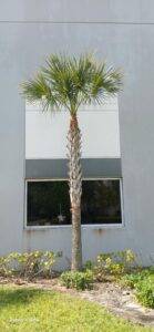 Image000002